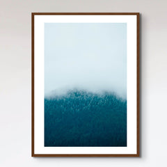 Beautiful Fog
