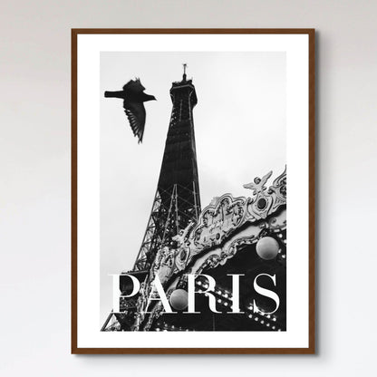 Paris Dove