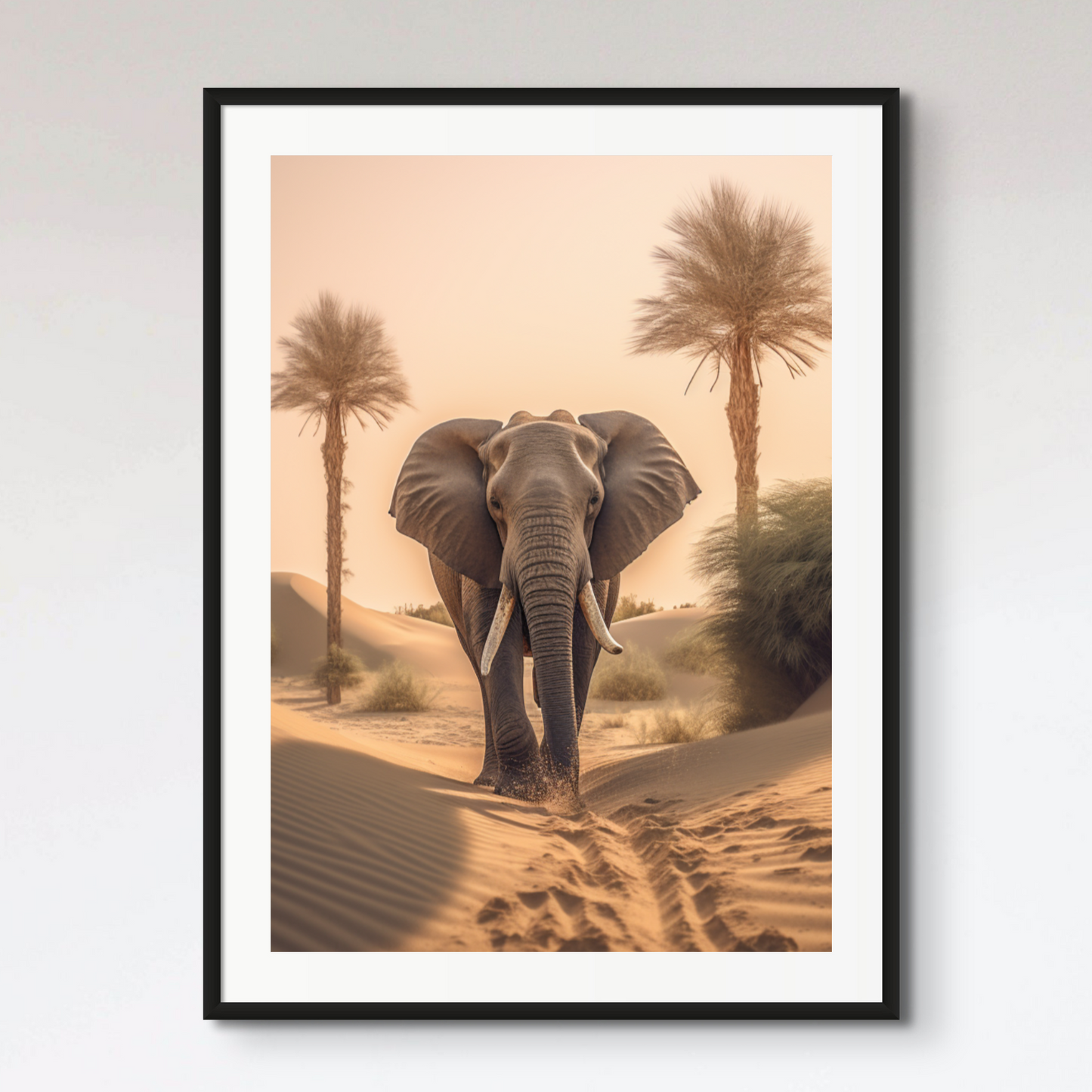 Elephant Desert