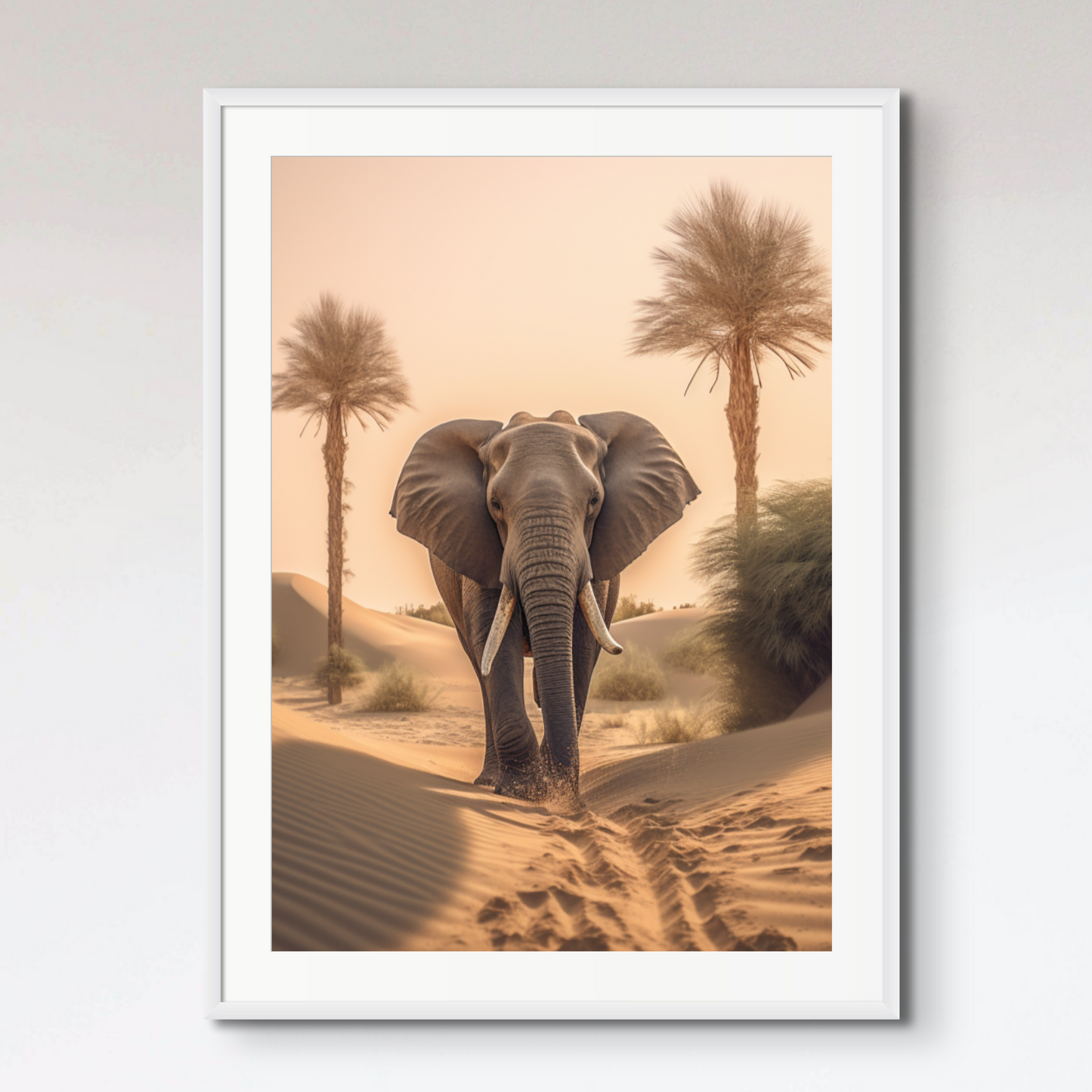 Elephant Desert