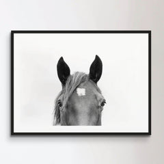 Peeking Horse
