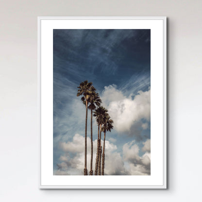 Palms and Clouds