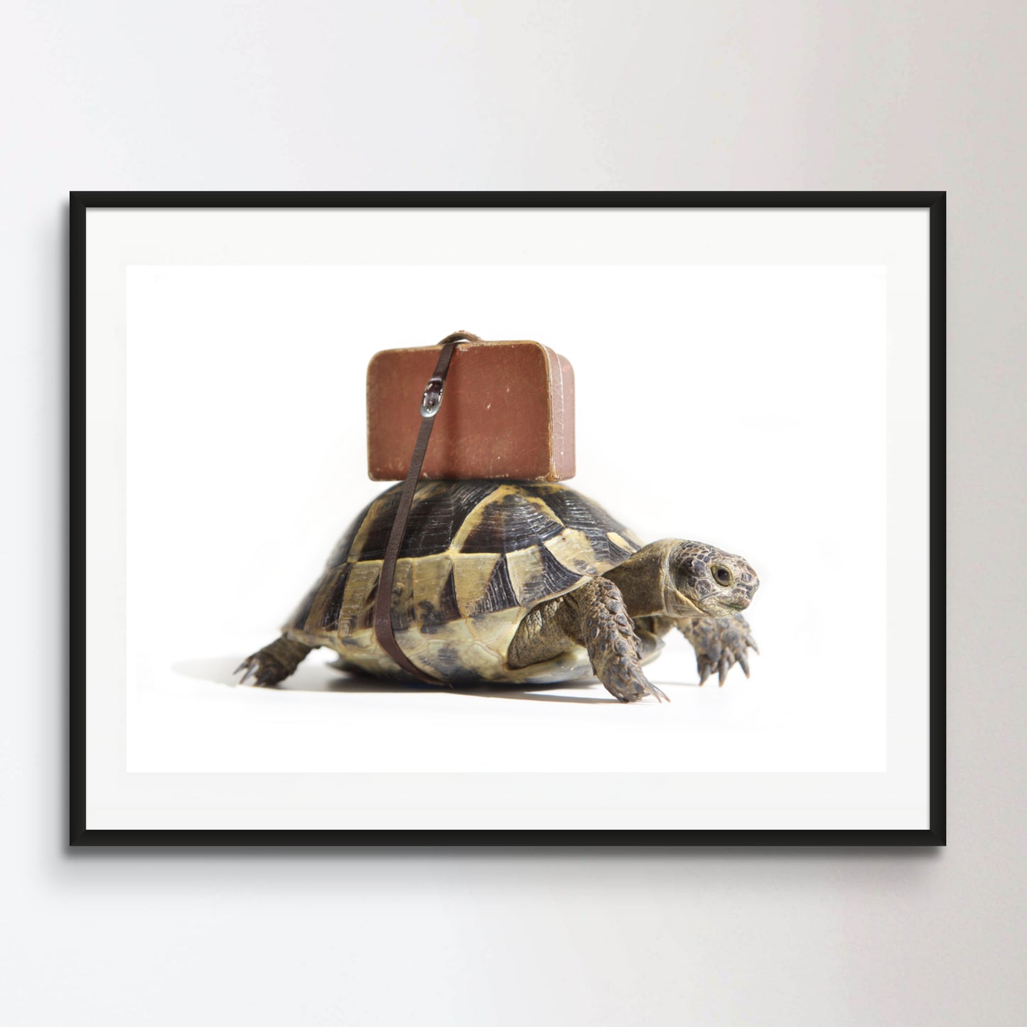 Turtle with suitcase.