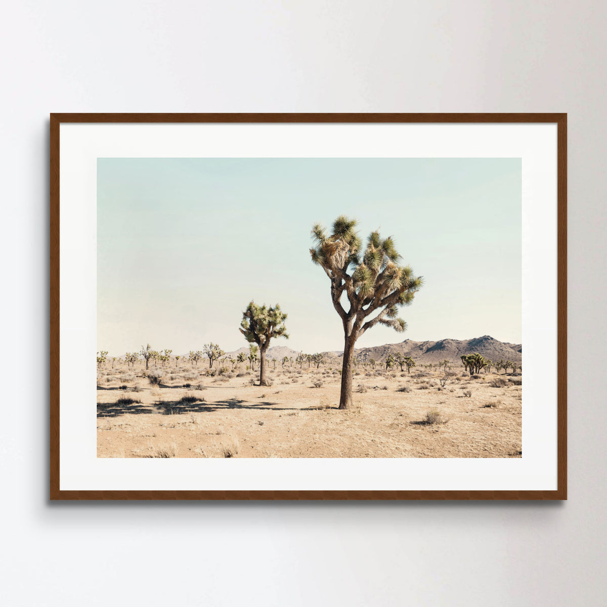 Joshua Tree