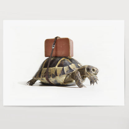 Turtle with suitcase.