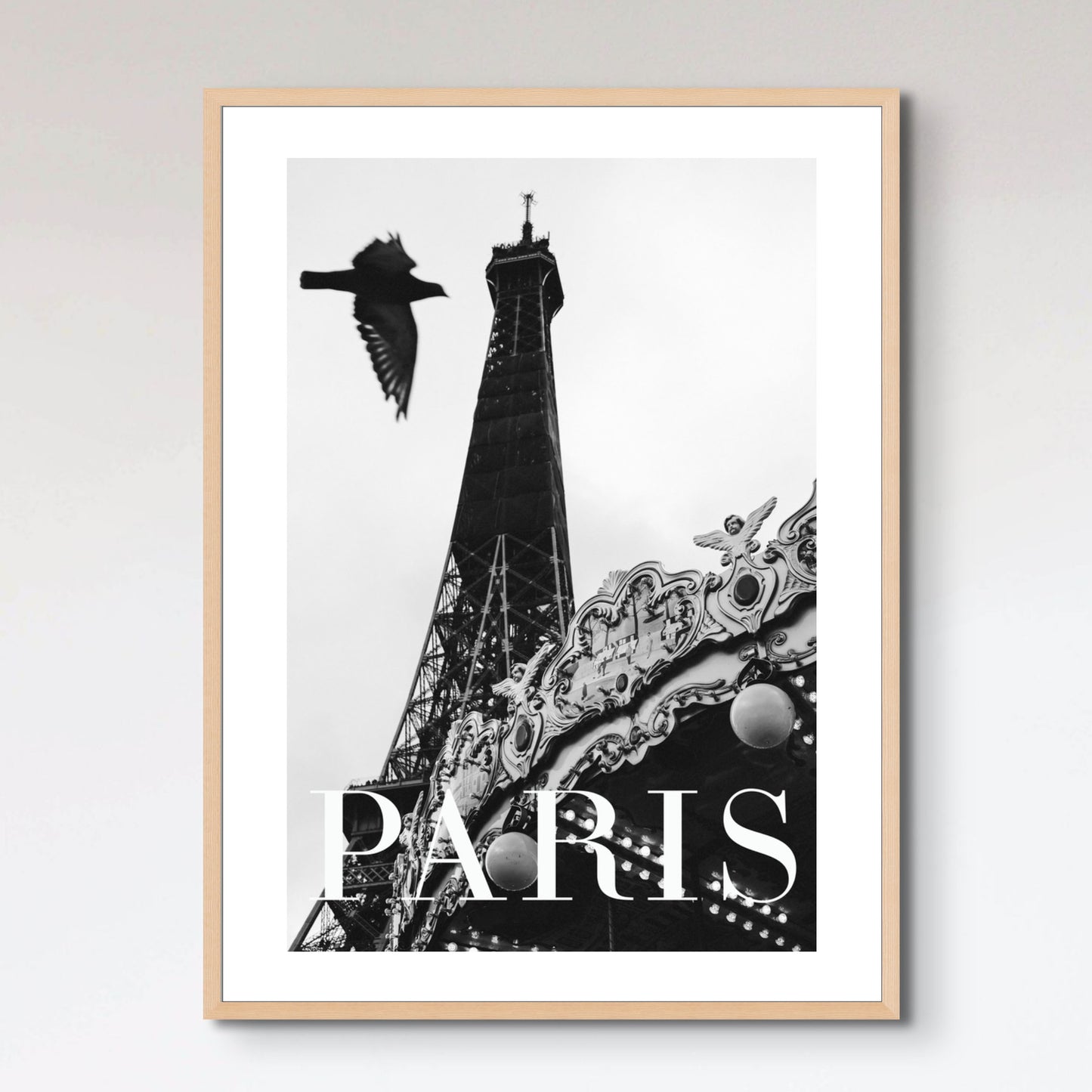 Paris Dove