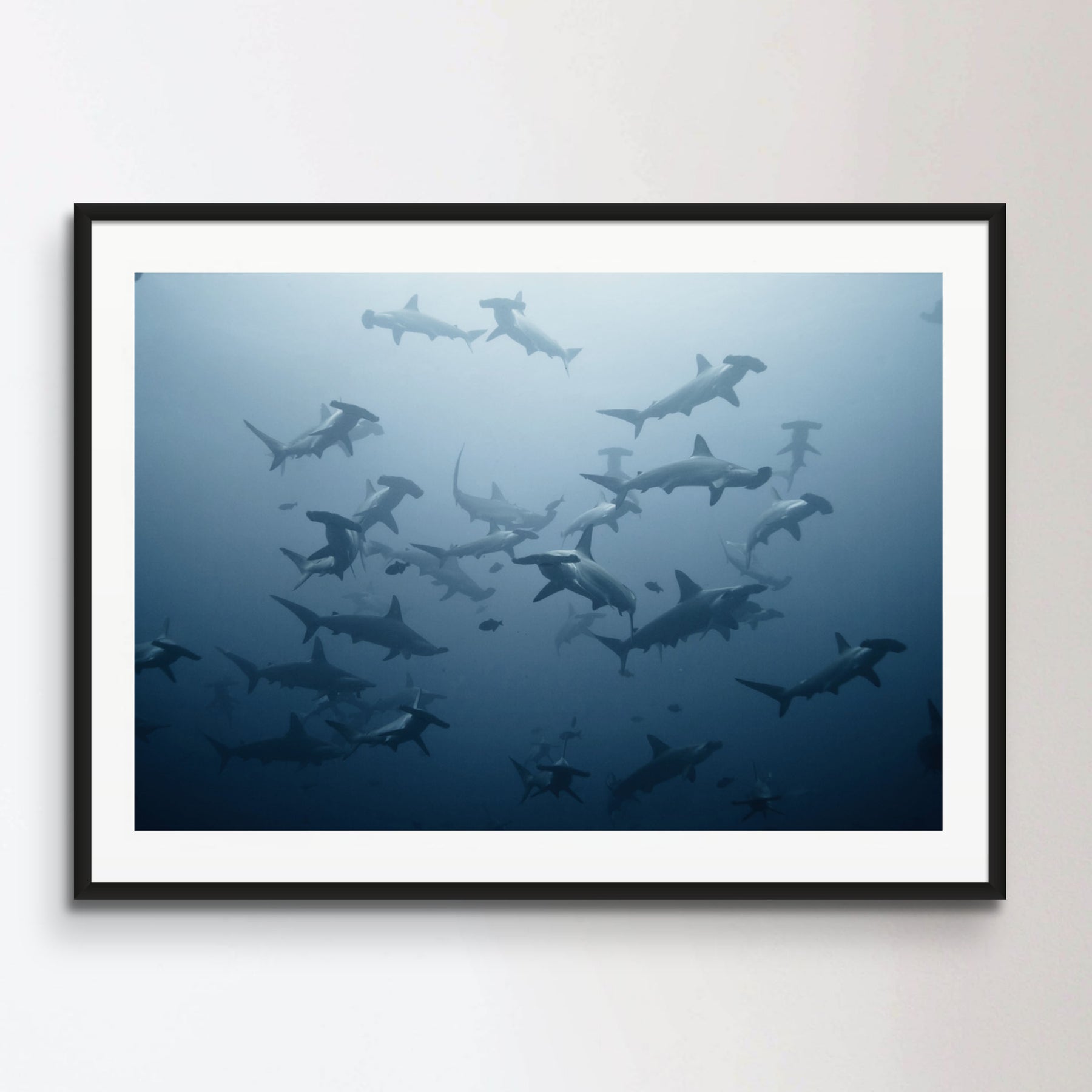 swarming