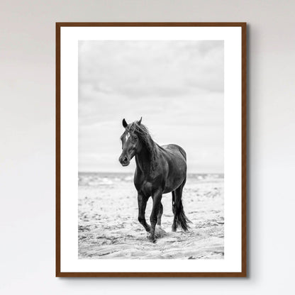 Brown horse walking by the sea on the sandy beach.