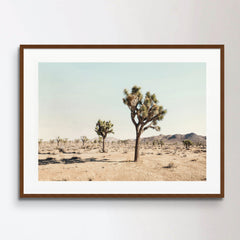 Joshua Tree
