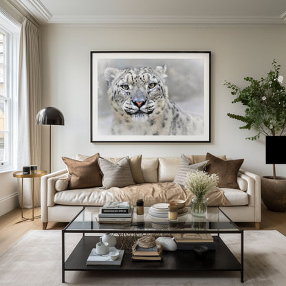 Snow leopard Poster