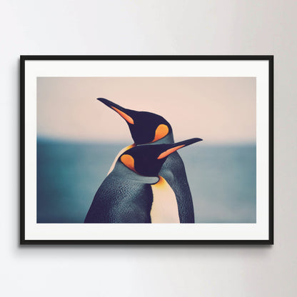 King Penguin couple