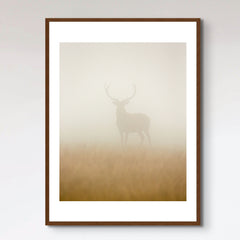 Ghost Stag