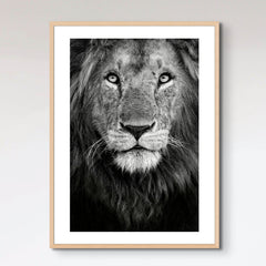 Royal portrait