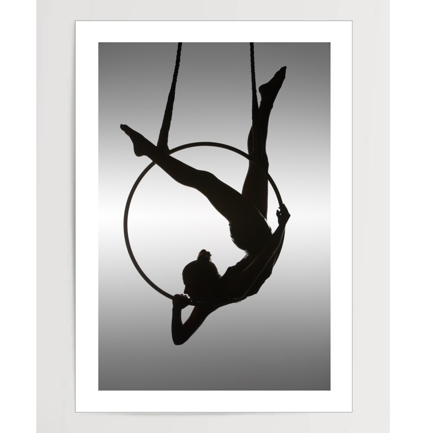 The Aerialist