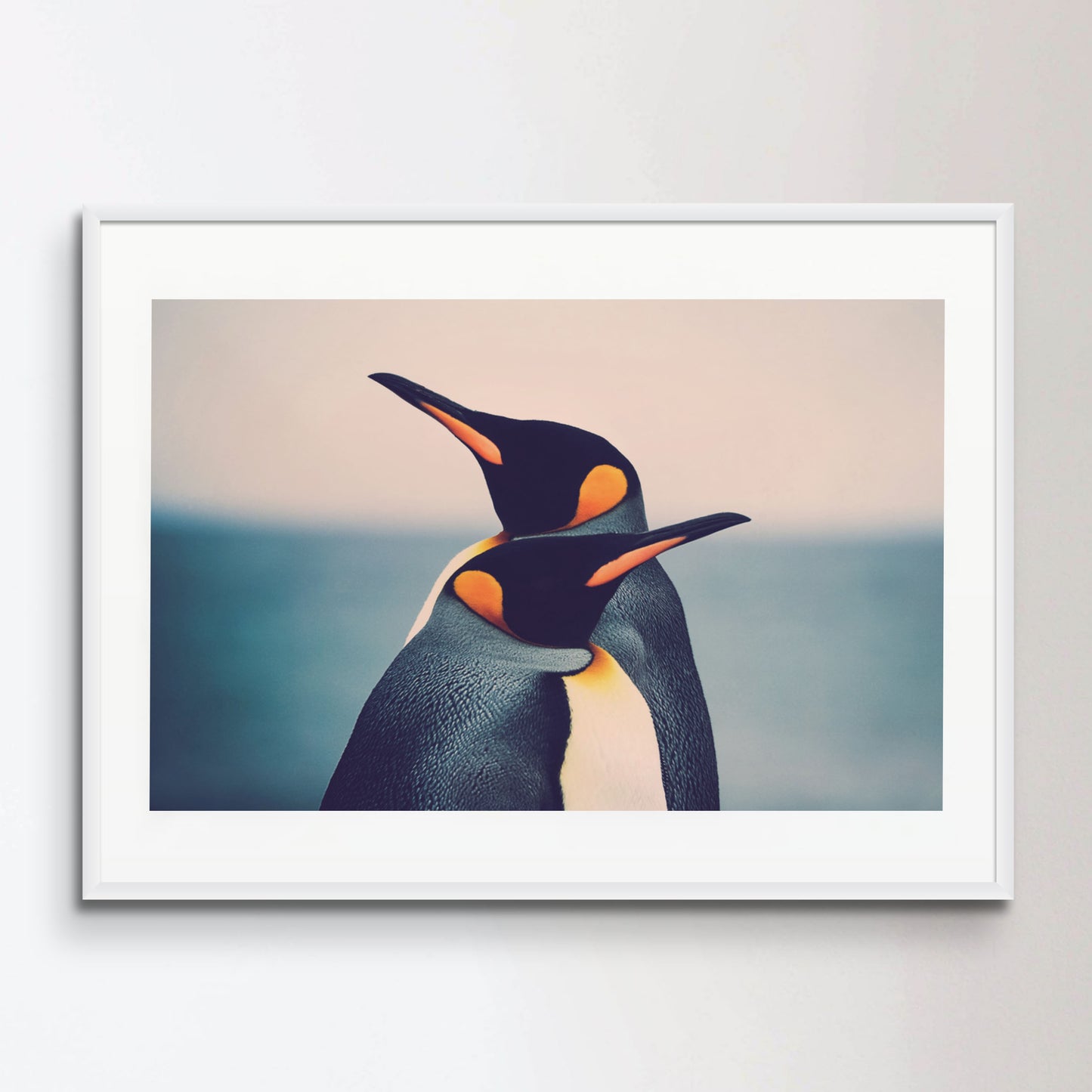 King Penguin couple