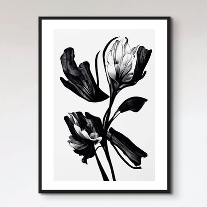 Black Flower