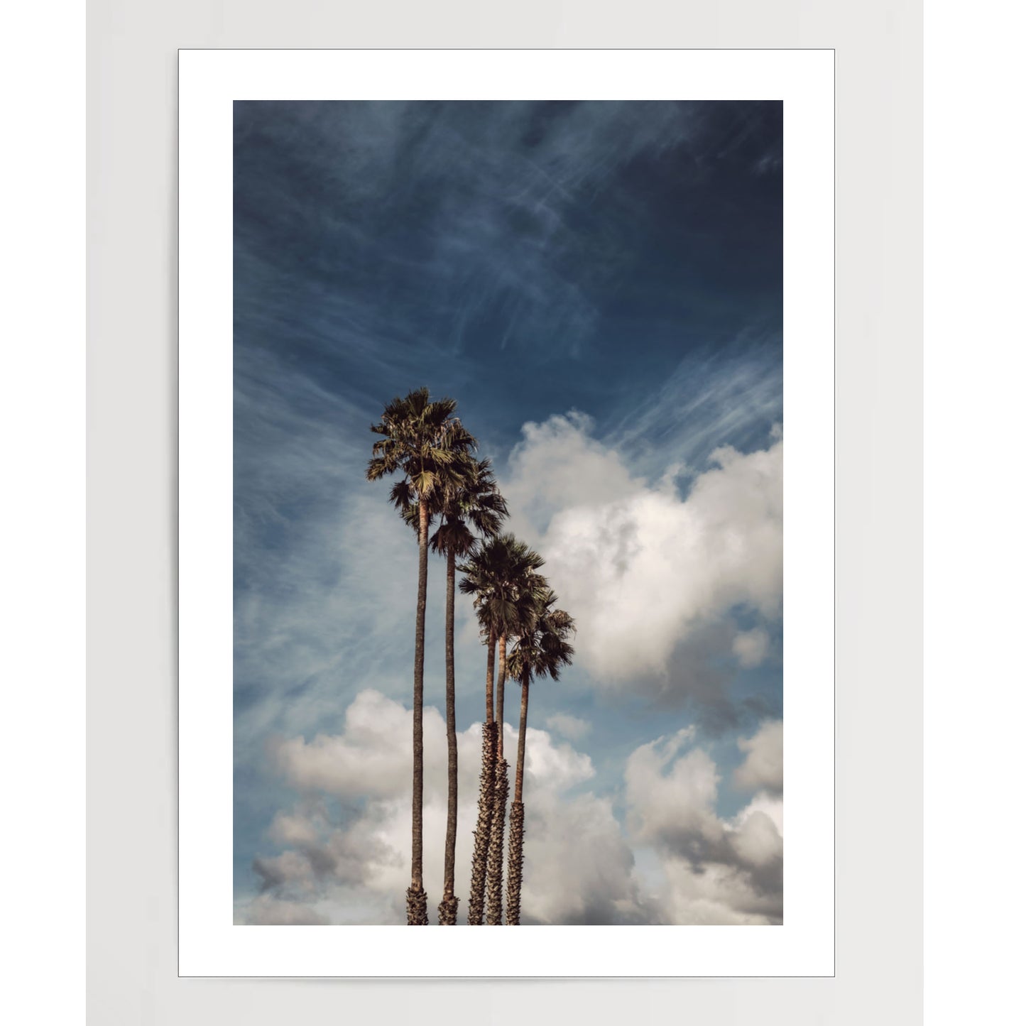 Palms and Clouds