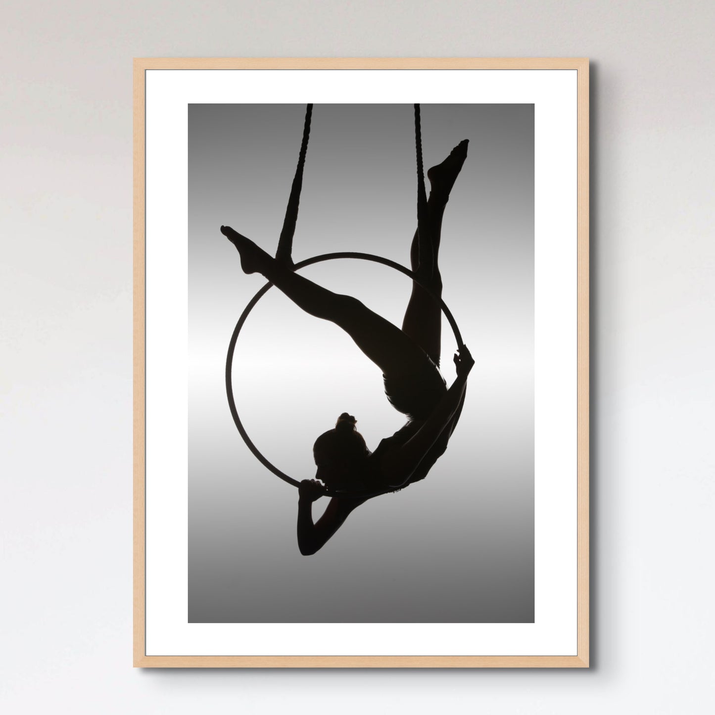 The Aerialist