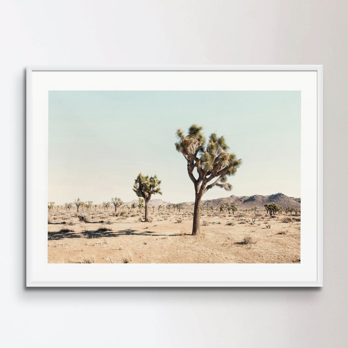 Joshua Tree