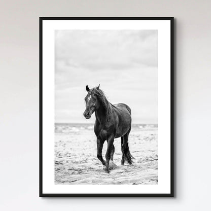 Brown horse walking by the sea on the sandy beach.