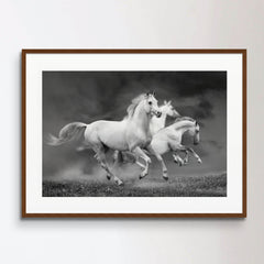white horses