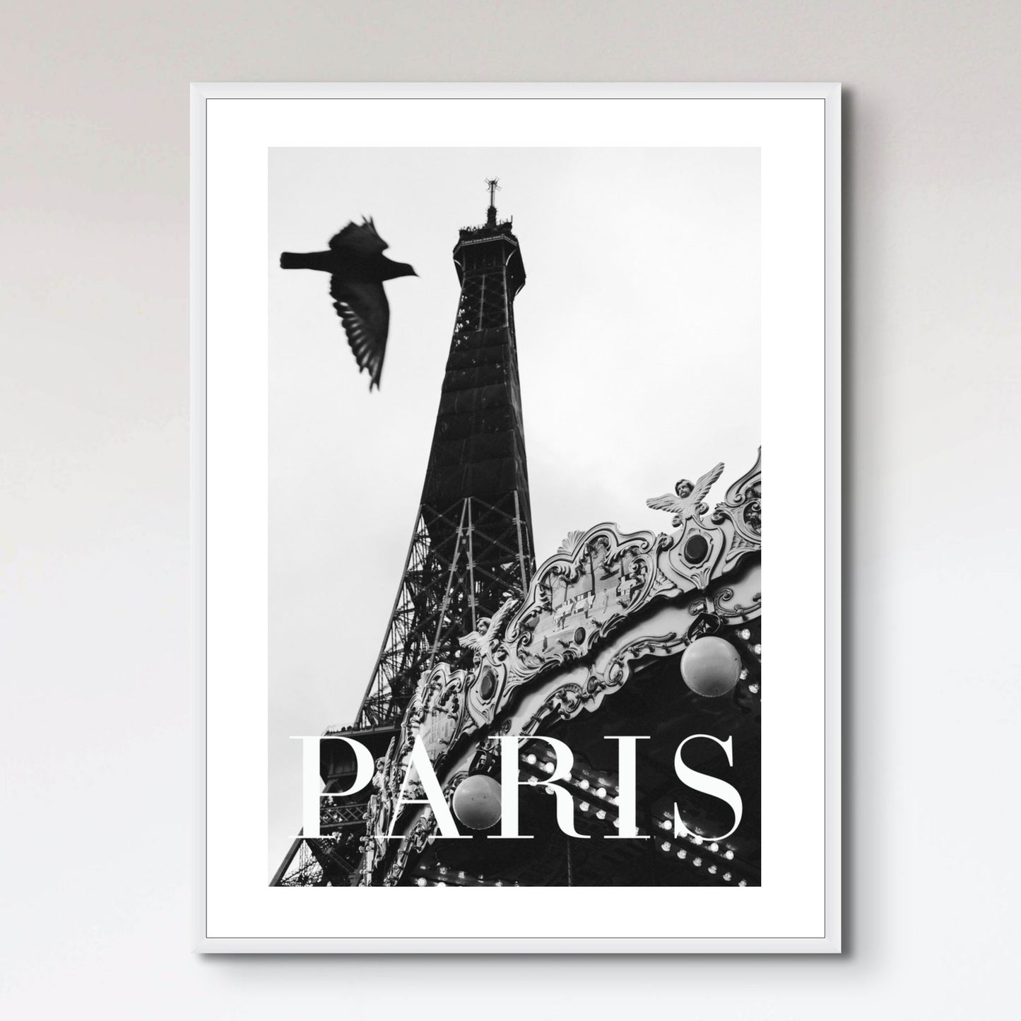 Paris Dove