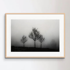 In the Fog