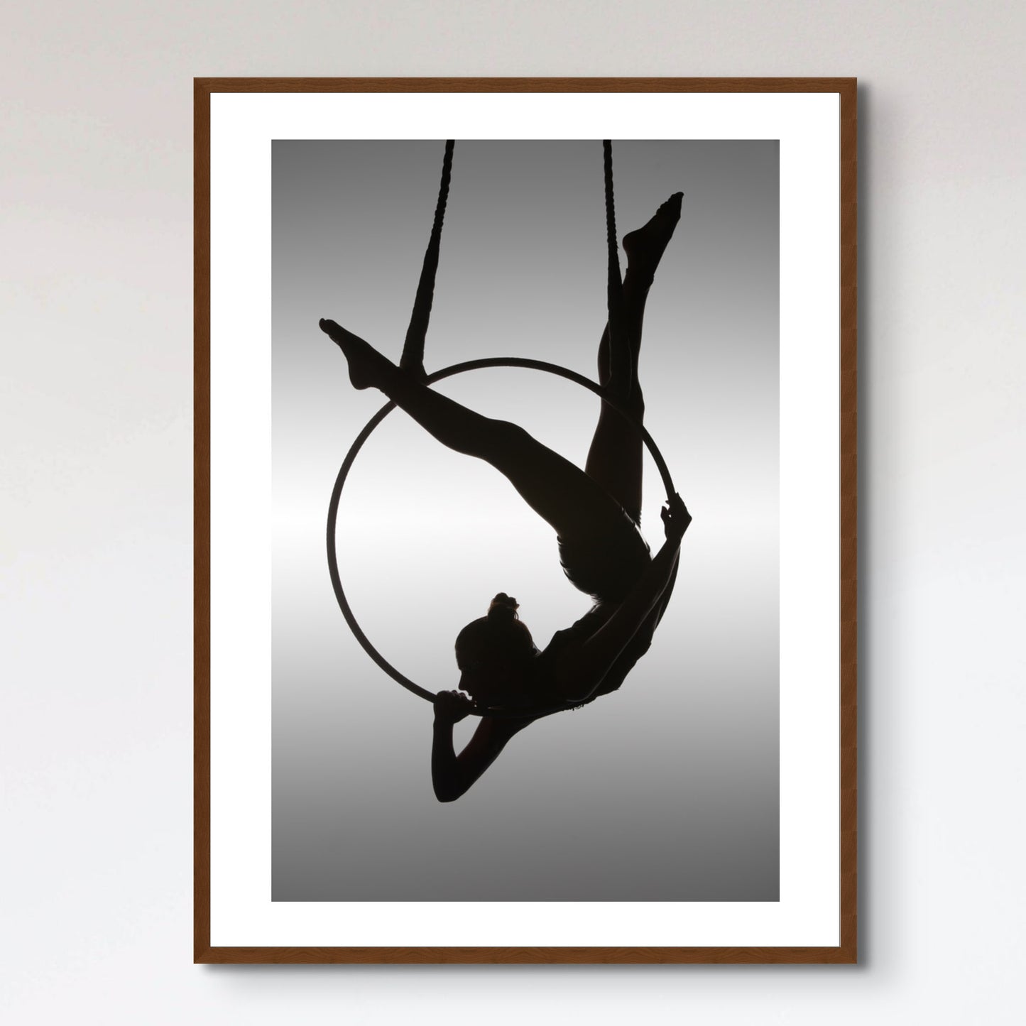 The Aerialist