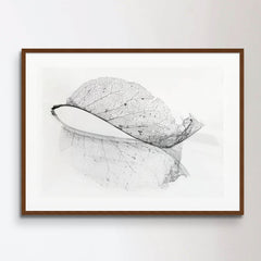 The old leaf