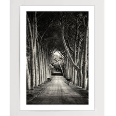 Deer Avenue
