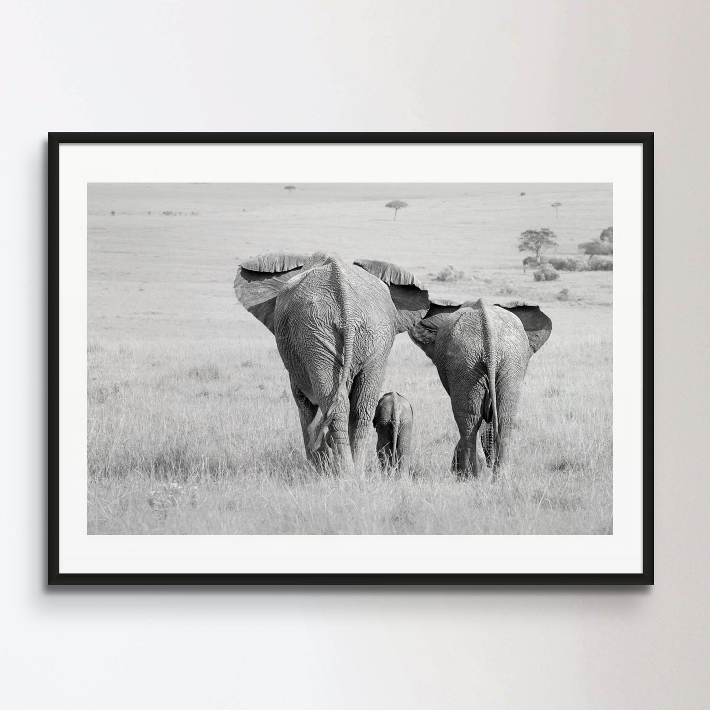 Three Butts! Elephant Poster