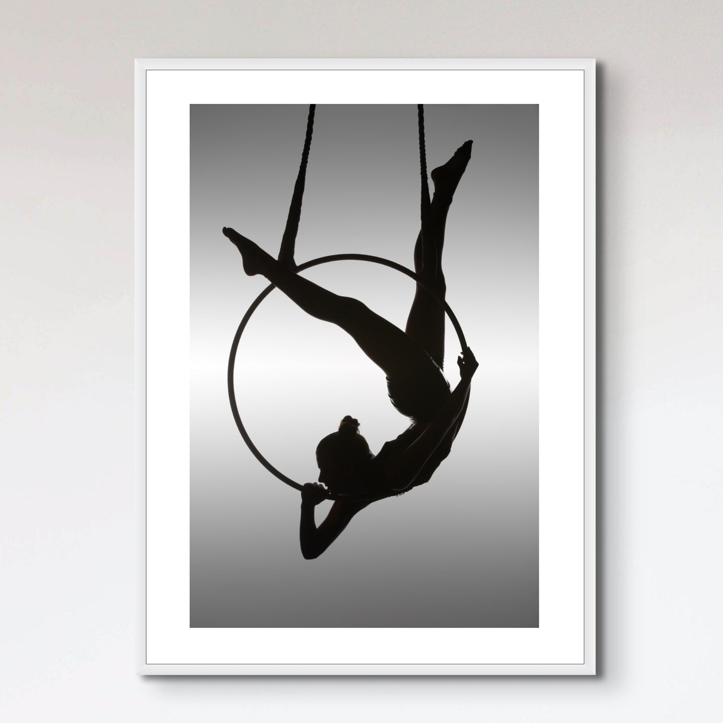 The Aerialist