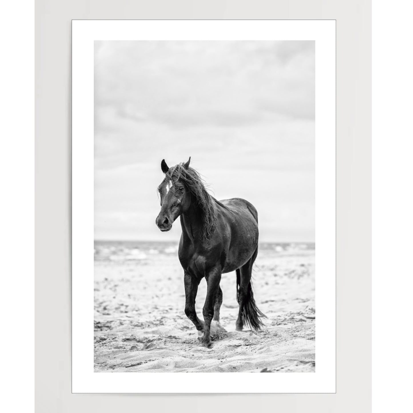 Brown horse walking by the sea on the sandy beach.