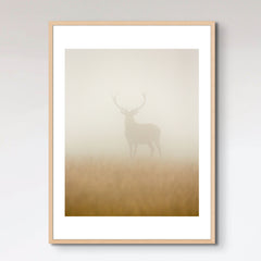 Ghost Stag
