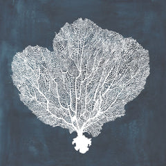 Inverse Sea Fan I