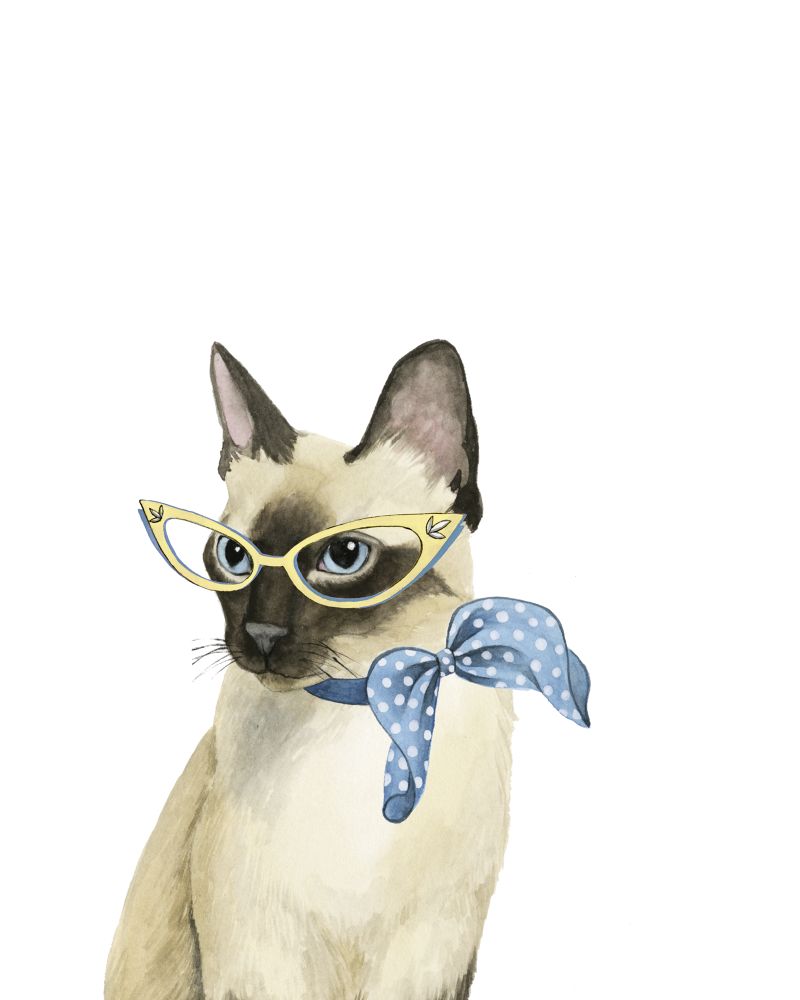 Cool Cat II