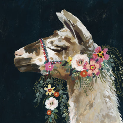 Lovely Llama II