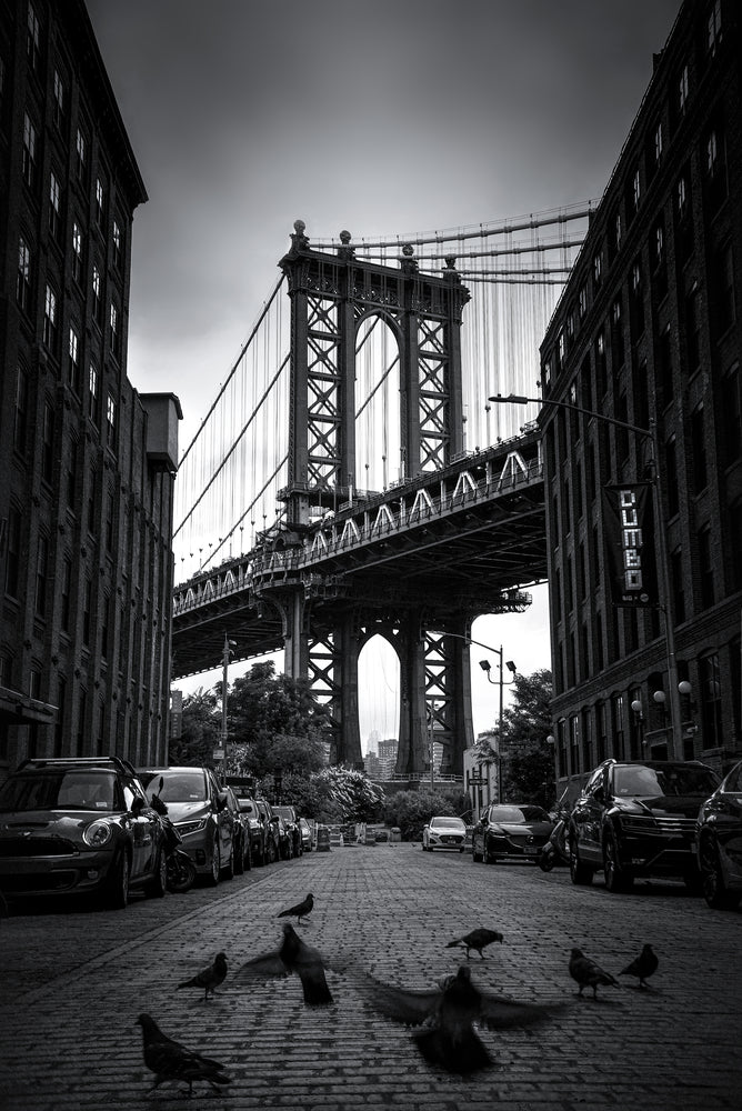 Dumbo - NYC