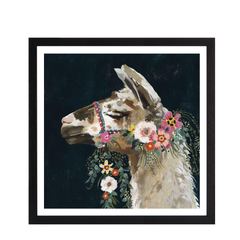Lovely Llama II