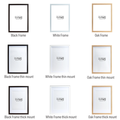 MidCentury ColorDew4