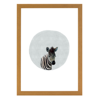 Baby Zebra Circle