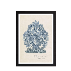 Sea Coral Study II