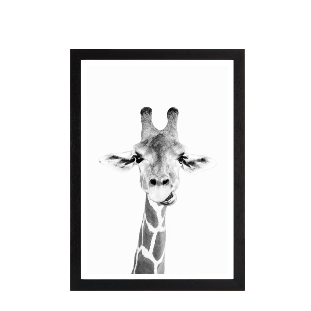 Hey Giraffe bw