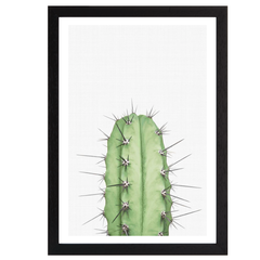 Cactus 2 Print