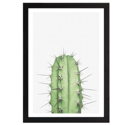 Cactus 2 Print