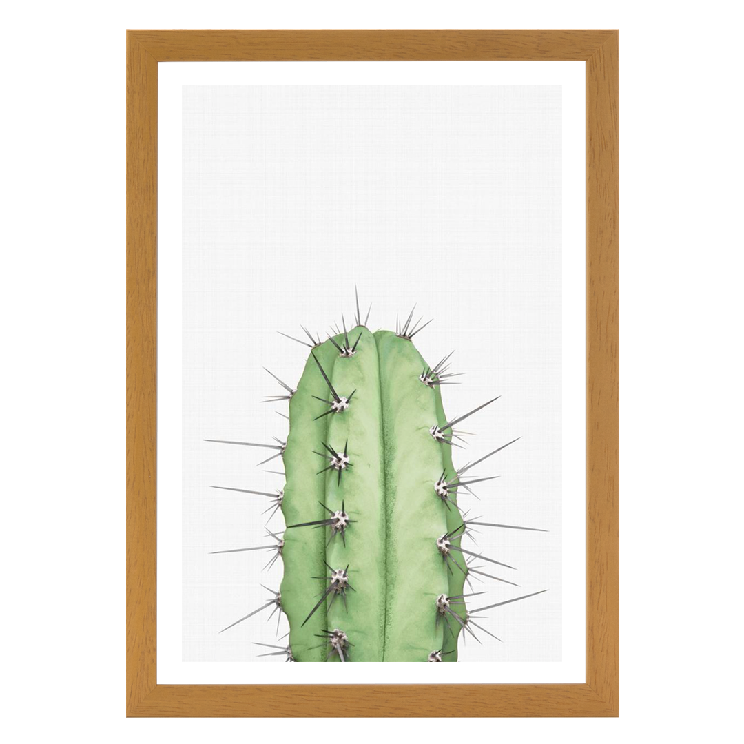 Cactus 2 Print