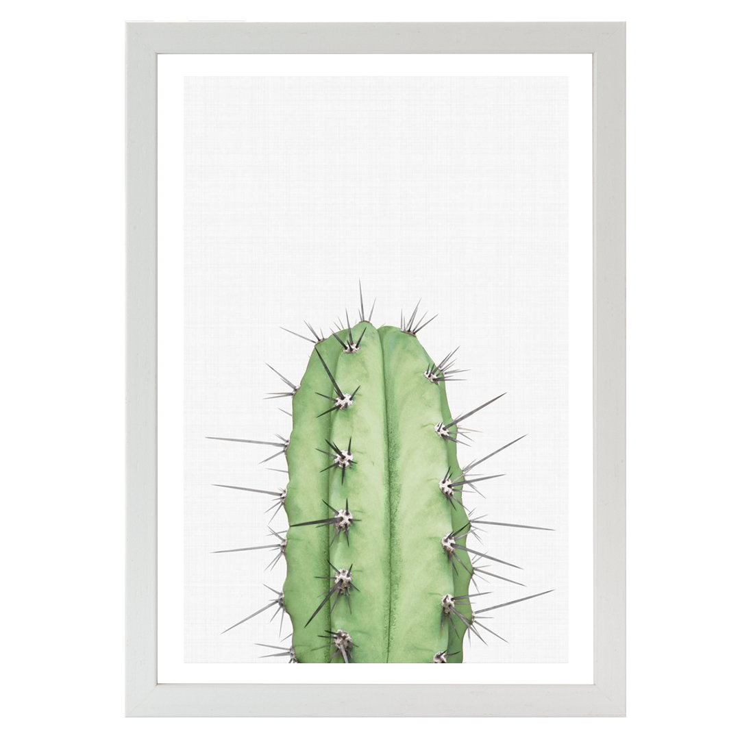 Cactus 2 Print