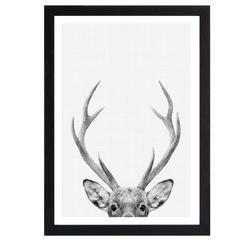 Deer Portrait Print