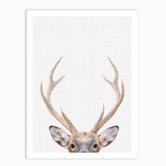 Deer Print