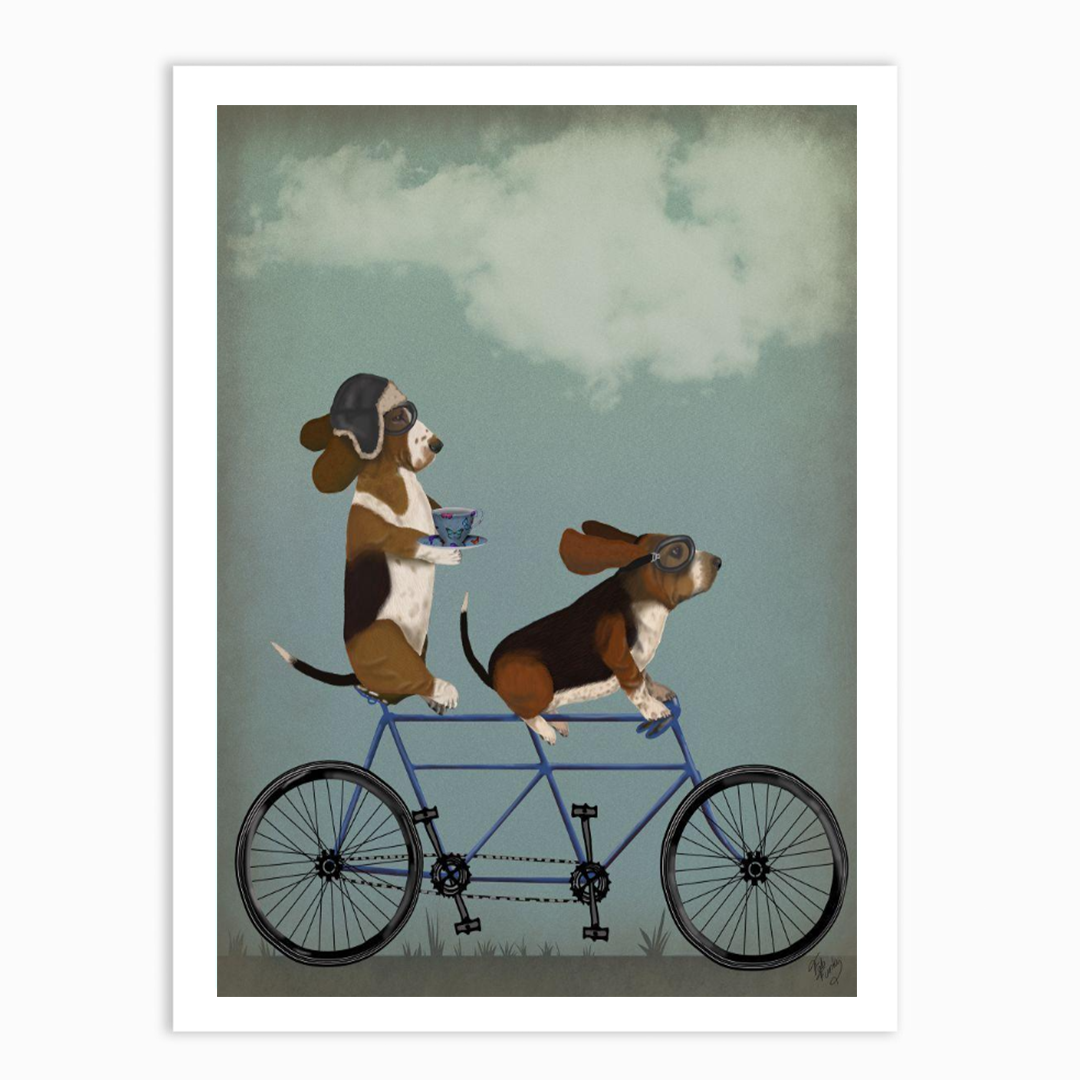 Basset Hound Tandem